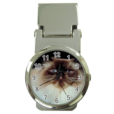 Blue Eyed Cat D2 Money Clip Watch from UrbanLoad.com Front