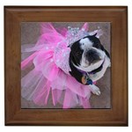 Lil TuTu Framed Tile