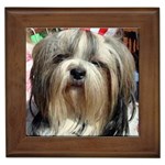 the Pirate Framed Tile