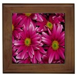Pink Flowers Framed Tile