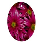 Pink Flowers Ornament (Oval)