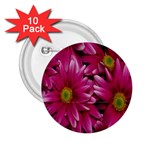 Pink Flowers 2.25  Button (10 pack)
