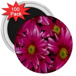 Pink Flowers 3  Magnet (100 pack)