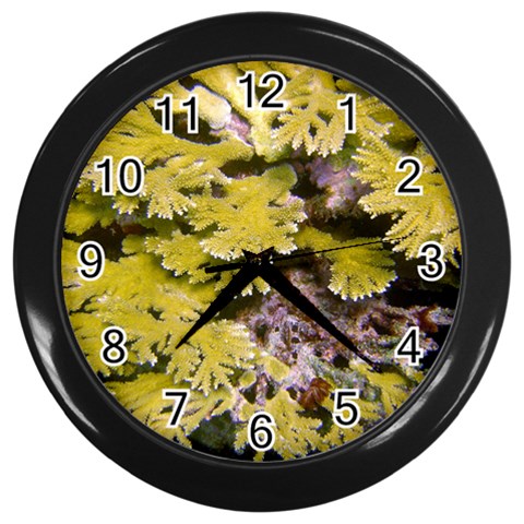 Fan Coral Wall Clock (Black) from UrbanLoad.com Front