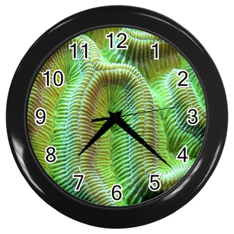 Brain Coral Wall Clock (Black) from UrbanLoad.com Front
