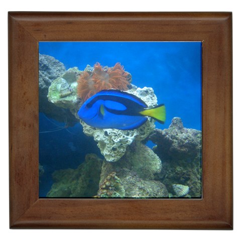 Blue Tang Framed Tile from UrbanLoad.com Front