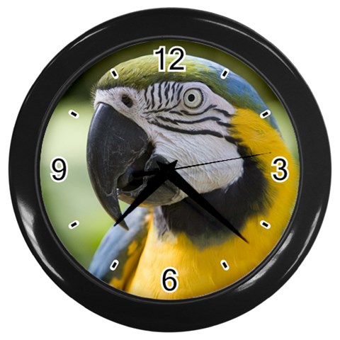 Handsome Parrot Wall Clock (Black) from UrbanLoad.com Front