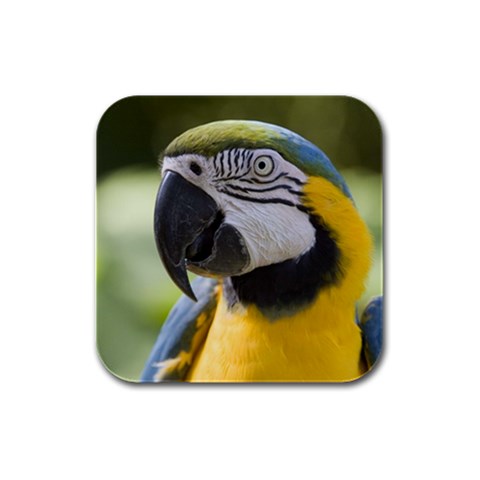 Handsome Parrot Rubber Square Coaster (4 pack) from UrbanLoad.com Front