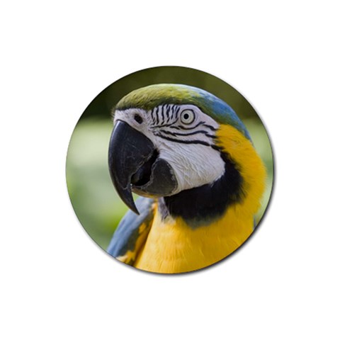 Handsome Parrot Rubber Round Coaster (4 pack) from UrbanLoad.com Front