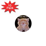 cat 1  Mini Button (10 pack) 