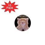 cat 1  Mini Magnet (10 pack) 