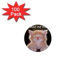 cat 1  Mini Magnet (100 pack) 
