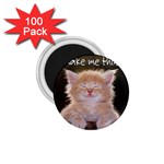 cat 1.75  Magnet (100 pack) 