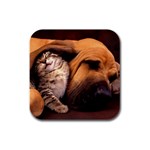 Best Friends Cat and Dog Rubber Square Coaster (4 pack)