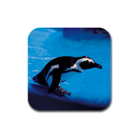 Penguin Bird D2 Rubber Square Coaster (4 pack) from UrbanLoad.com Front