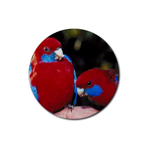 Parrots Bird D8 Rubber Round Coaster (4 pack) from UrbanLoad.com Front