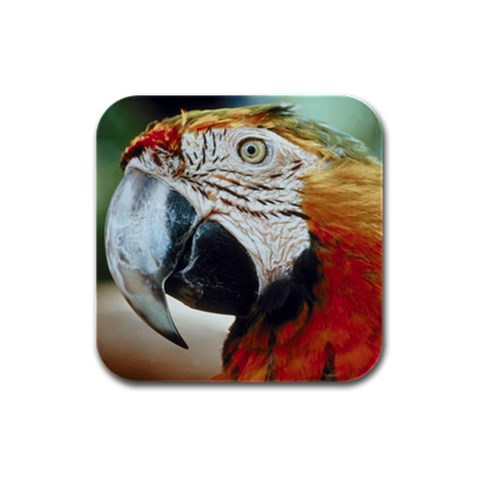 Parrot Bird D9 Rubber Square Coaster (4 pack) from UrbanLoad.com Front
