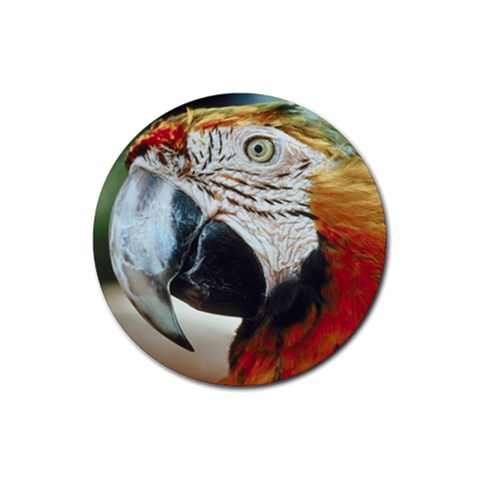 Parrot Bird D9 Rubber Round Coaster (4 pack) from UrbanLoad.com Front