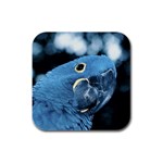 Parrot Bird D4 Rubber Square Coaster (4 pack)