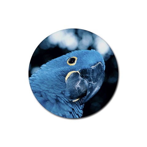Parrot Bird D4 Rubber Round Coaster (4 pack) from UrbanLoad.com Front