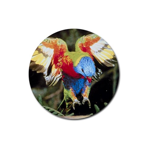 Parrot Bird D2 Rubber Round Coaster (4 pack) from UrbanLoad.com Front