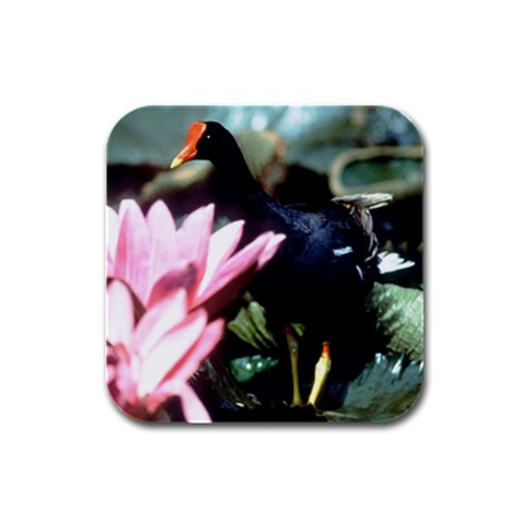 Moorhen Bird Rubber Square Coaster (4 pack) from UrbanLoad.com Front