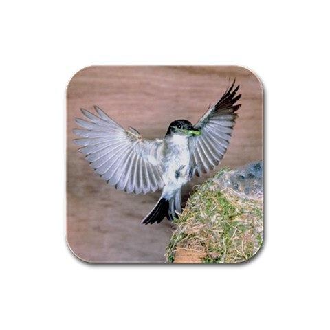 Eastern Phoebe Bird Rubber Square Coaster (4 pack) from UrbanLoad.com Front