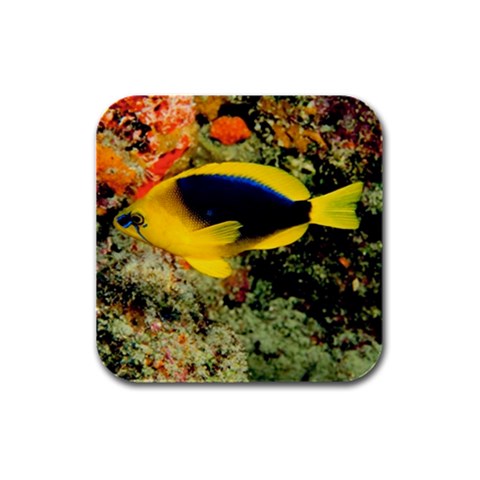 Yellow Reef Fish Rubber Square Coaster (4 pack) from UrbanLoad.com Front