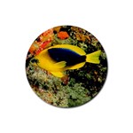Yellow Reef Fish Rubber Round Coaster (4 pack)