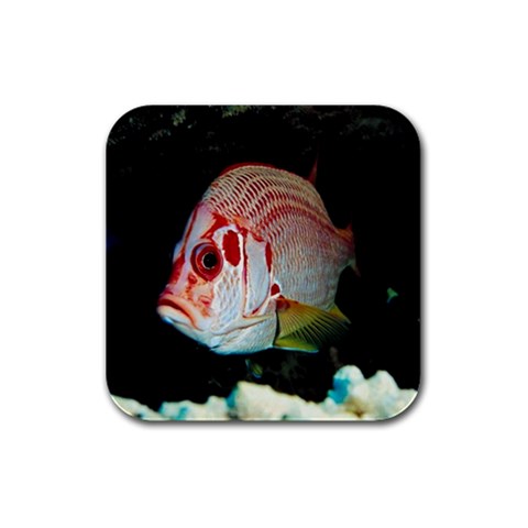 Squirrel Fish Rubber Square Coaster (4 pack) from UrbanLoad.com Front