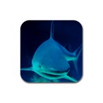 Reef Shark D2 Rubber Square Coaster (4 pack)