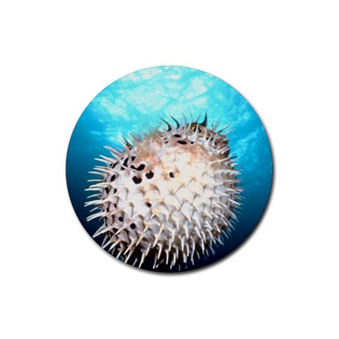 Porcupine Fish Rubber Round Coaster (4 pack) from UrbanLoad.com Front