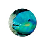 Parrot Fish D4 Rubber Round Coaster (4 pack)