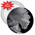 Classic beauty 3  Button (10 pack)