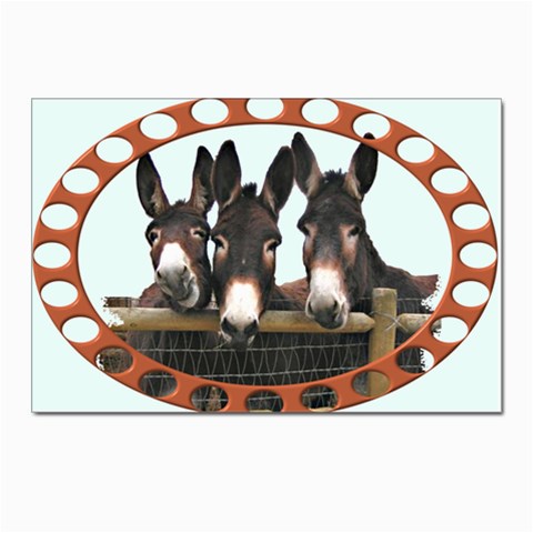 Three donks Postcard 4 x 6  (Pkg of 10) from UrbanLoad.com Front