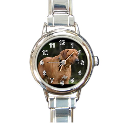 dog34 Round Italian Charm Watch from UrbanLoad.com Front