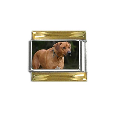 dog34 Gold Trim Italian Charm (9mm) from UrbanLoad.com Front
