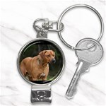 dog34 Nail Clippers Key Chain