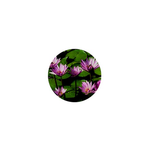 Water lilies 1  Mini Button from UrbanLoad.com Front