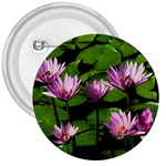 Water lilies 3  Button