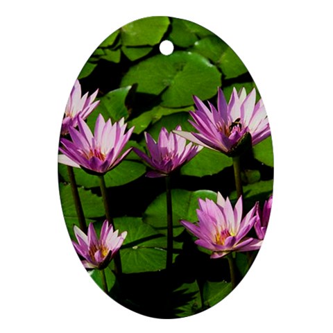 Water lilies Ornament (Oval) from UrbanLoad.com Front