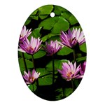 Water lilies Ornament (Oval)
