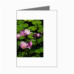 Water lilies Mini Greeting Card