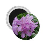 Purple Rhododendron Flower 2.25  Magnets