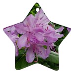 Purple Rhododendron Flower Ornament (Star) 