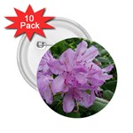 Purple Rhododendron Flower 2.25  Buttons (10 pack) 