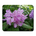 Purple Rhododendron Flower Large Mousepads
