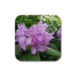 Purple Rhododendron Flower Rubber Square Coaster (4 pack) 