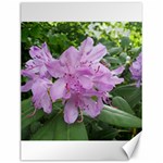 Purple Rhododendron Flower Canvas 12  x 16  