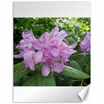 Purple Rhododendron Flower Canvas 18  x 24  